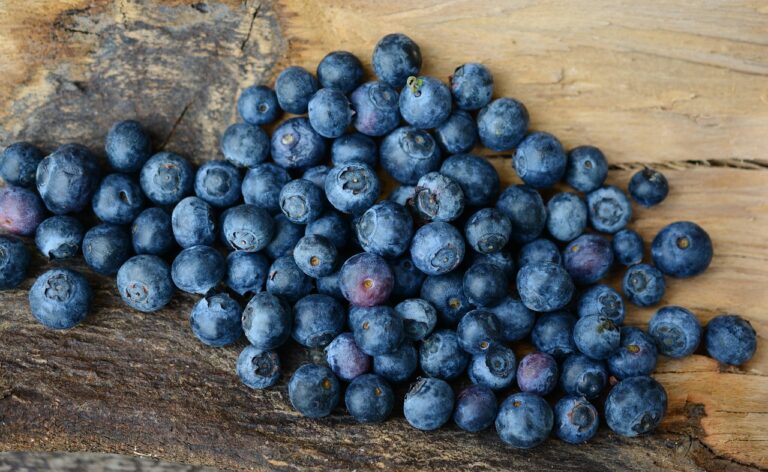 blueberries-2270379_1280